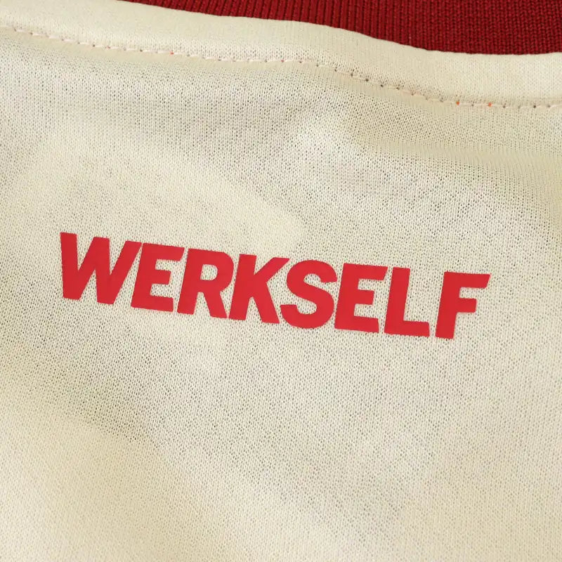 2526 season Bayer 04 Leverkusen away Fan version