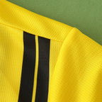 2425 season Borussia Dortmund Champions League version Fan version