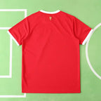 21-22  season Manchester United home Fan version