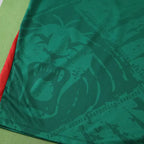 2526 season Cameroon home Fan version