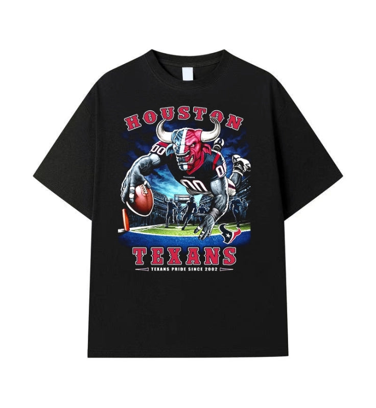 HOUSTON TEXANS Vintage t-shirt 2506A012
