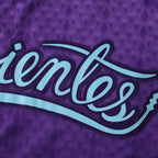 2025 MLB Arizona Diamondbacks