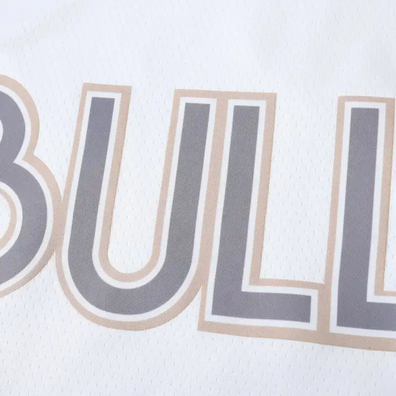 2425 NBA Chicago Bulls 8#LAVINE