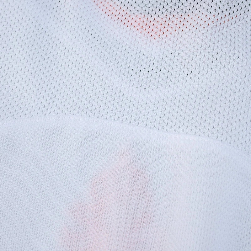 2004 season the Netherlands away Fan version