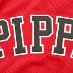 NBA Chicago Bulls 33#PIPPEN