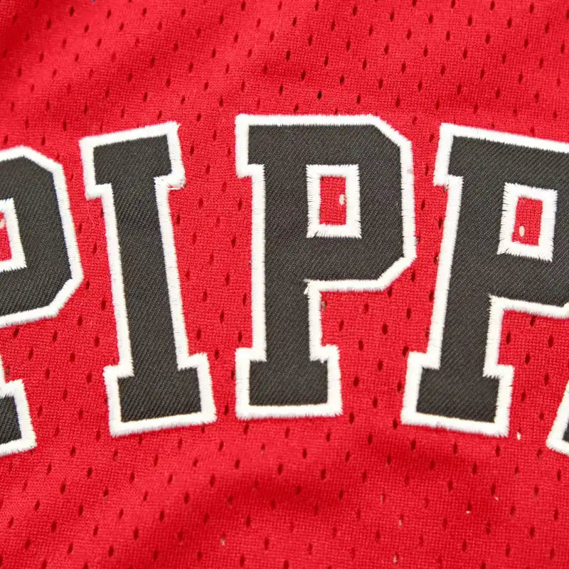 NBA Chicago Bulls 33#PIPPEN