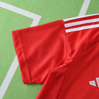 2526 season Sport Club Internacional home Fan version