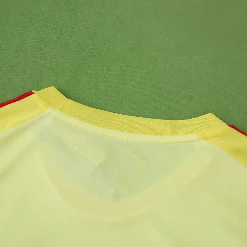 2526 season Arsenal F.C. goalkeeper Fan version