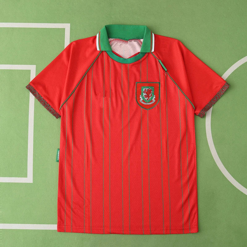 9496 season Scotland home retro Fan version