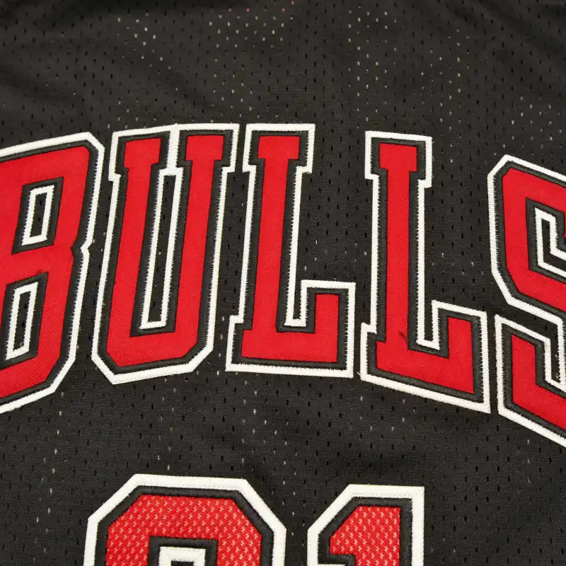 NBA Chicago Bulls 91#RODMAN