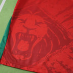 2526 season Cameroon away Fan version