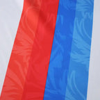 2526 season Crystal Palace F.C. third Fan version