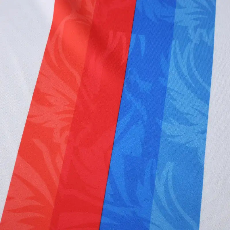 2526 season Crystal Palace F.C. third Fan version