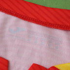 2526 season Romania away Fan version