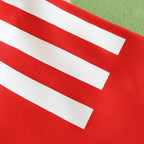 2425 season Benfica home Player version