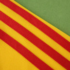 2000 season Romania home retro Fan version