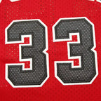 NBA Chicago Bulls 33#PIPEN
