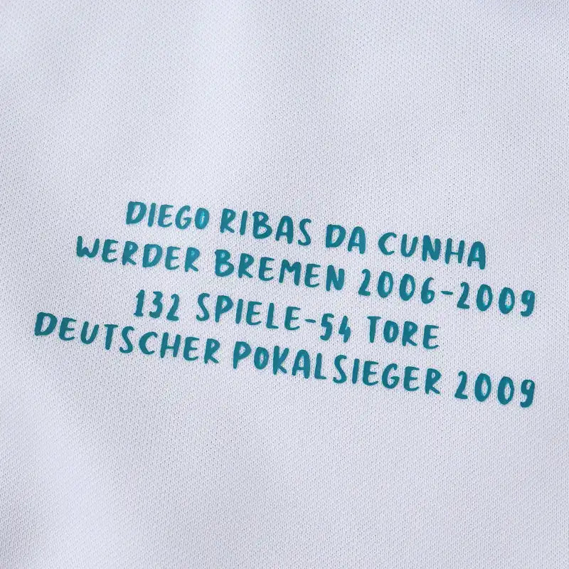 2526 season SV Werder Bremen Concept version Fan version