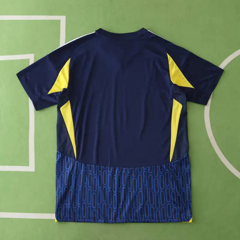 2425 season Al Nassr FC away Fan version