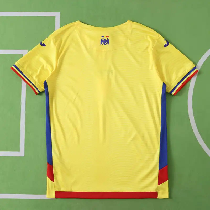 2526 season Romania home Fan version