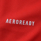 2526 season Sport Club Internacional home Fan version