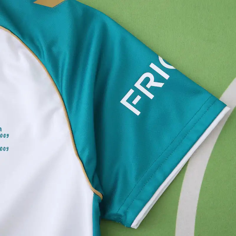 2526 season SV Werder Bremen Concept version Fan version