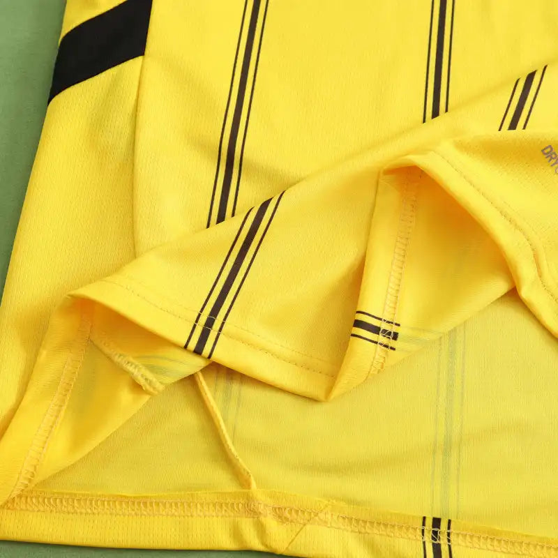 2425 season Dortmund home Fan version