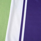 9900 season ACF Fiorentina home retro Fan version