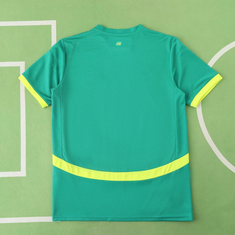 2526 season Senegal away Fan version