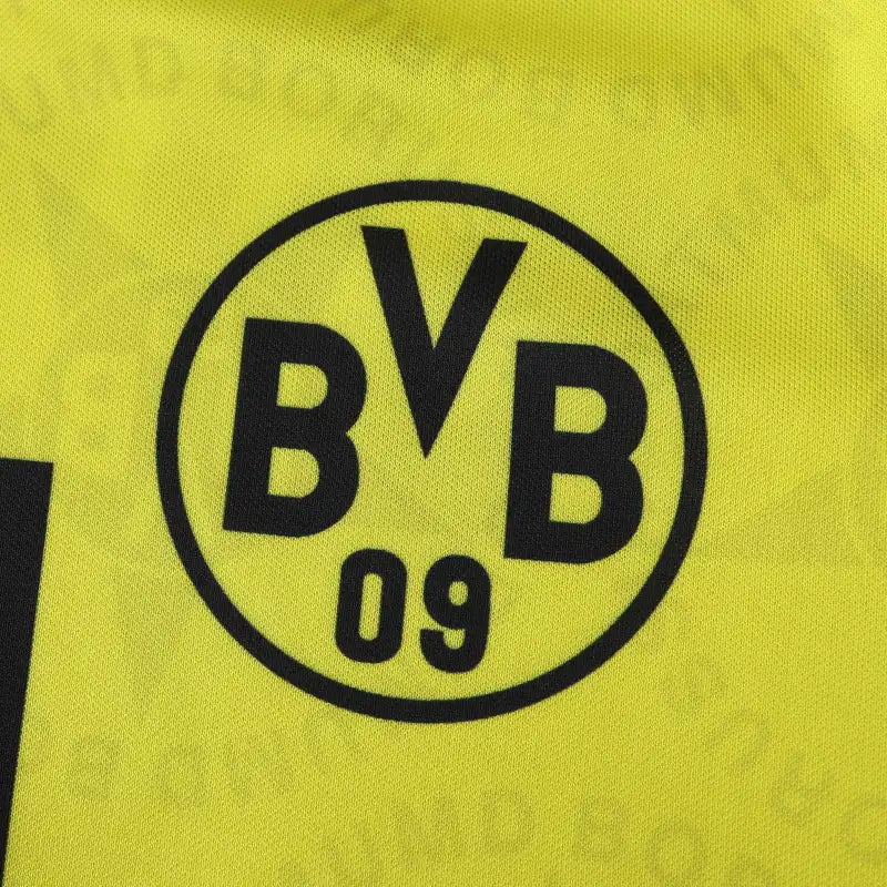 9495 season Borussia Dortmund home retro Fan version
