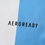 2425 season  Argentina home Fan version