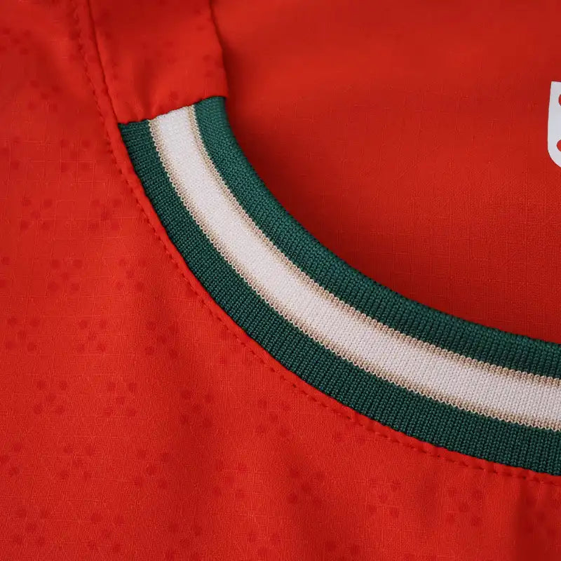 2526 season Portugal home Player version