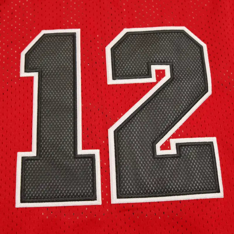NBA Chicago Bulls 12