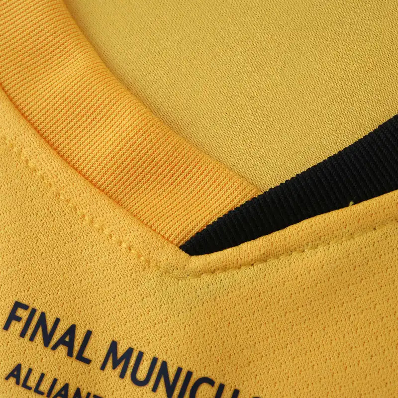 2425 season F.C. Internazionale Milano third finals Fan version