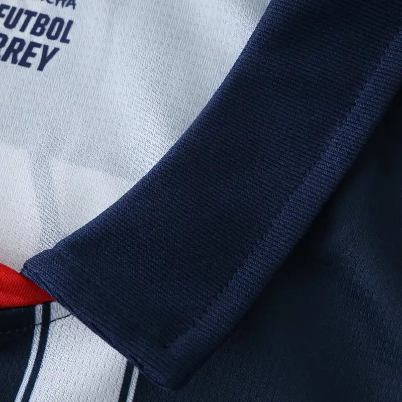 2425 season C.F. Monterrey home Fan version
