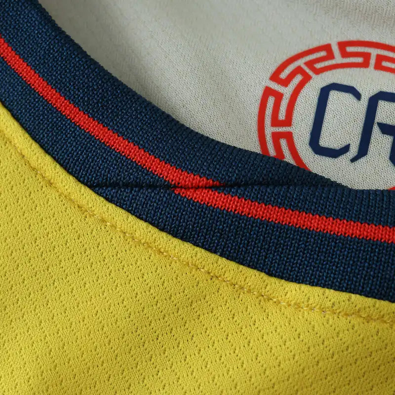 2425 season Club América home Fan version