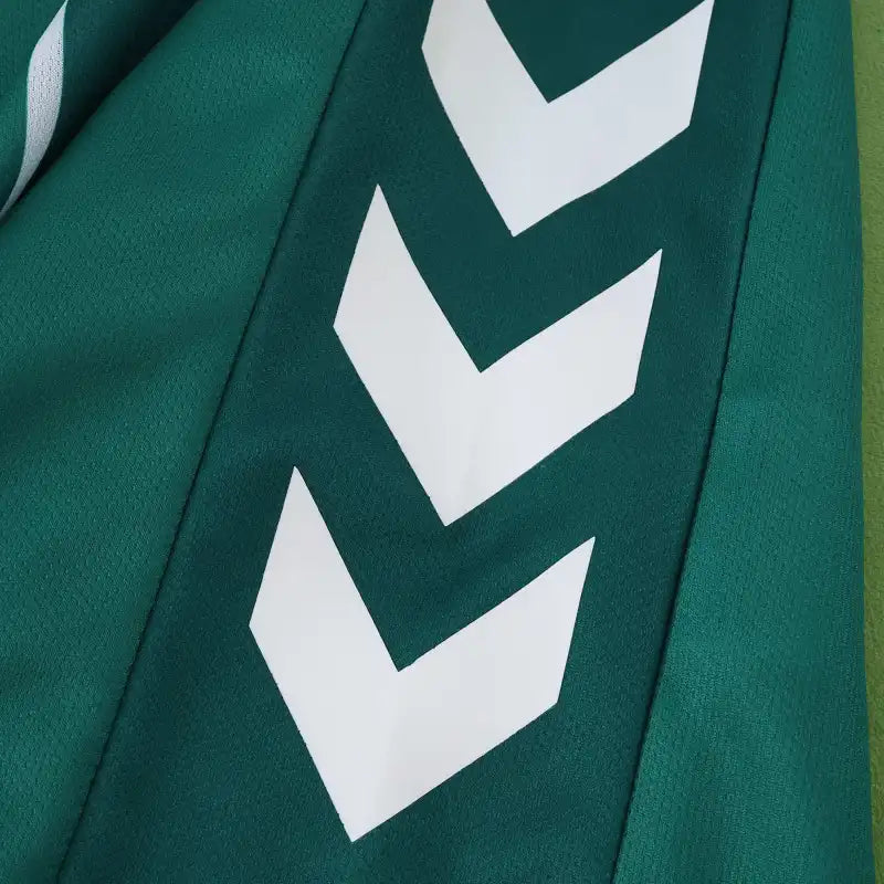 2526 season SV Werder Bremen home Fan version
