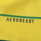 2425 season Celtic F.C. away Fan version