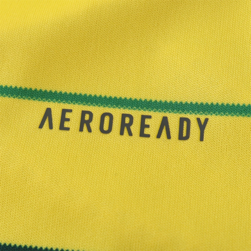 2425 season Celtic F.C. away Fan version