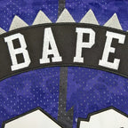 NBA Toronto Raptors 93#BAOE