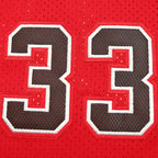 NBA Chicago Bulls 33#PIPPEN
