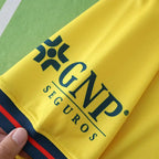2425 season Club América home Fan version