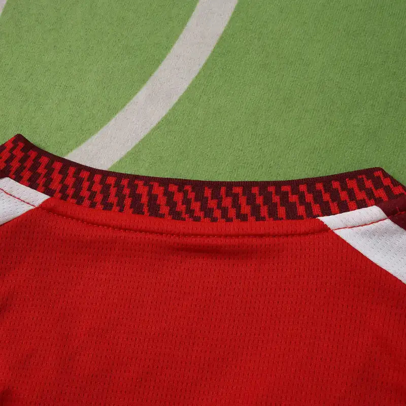 2627 season Arsenal F.C. home Fan version
