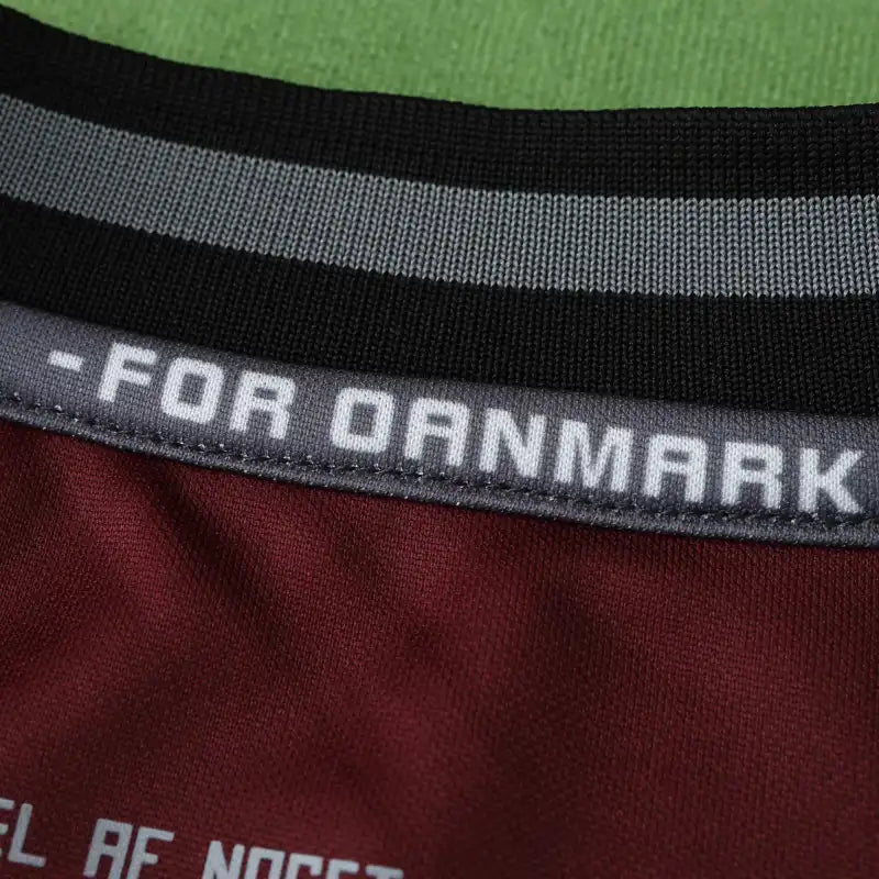 2425 season Denmark home Fan version
