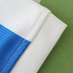 2425 season Deportivo de La Coruña home Fan version