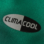 2010 season Mexico home Fan version