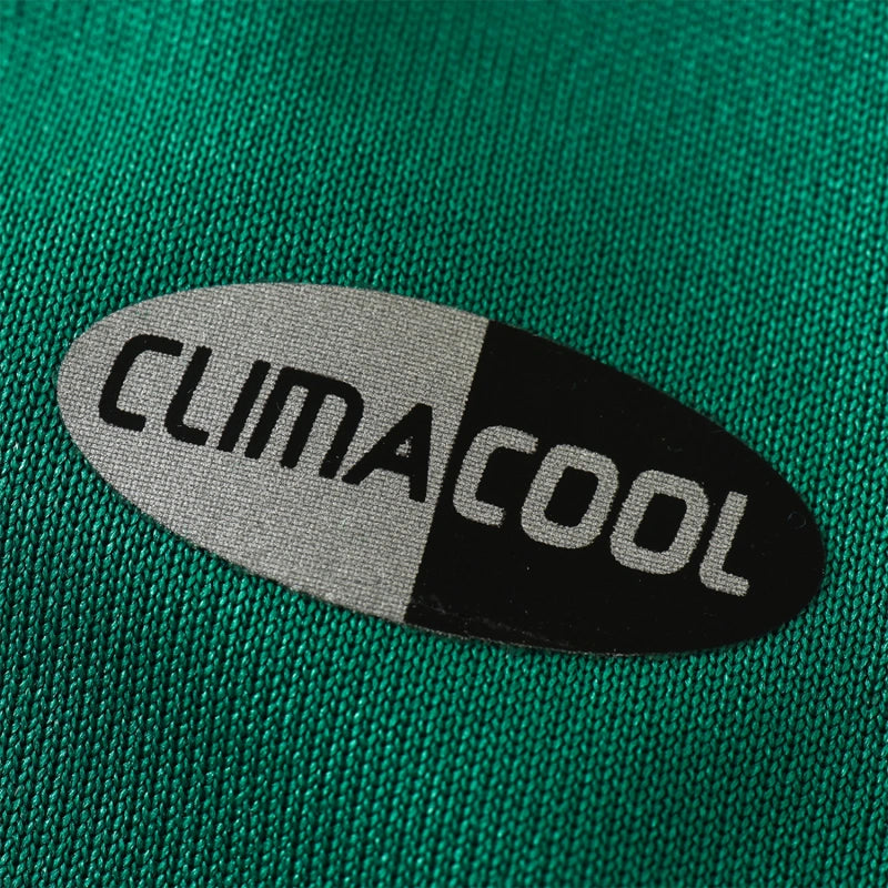 2010 season Mexico home Fan version