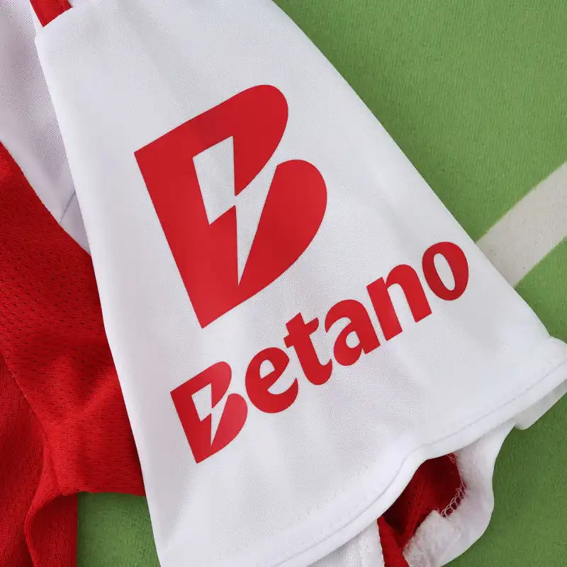 2526 season S.L. Benfica third Fan version