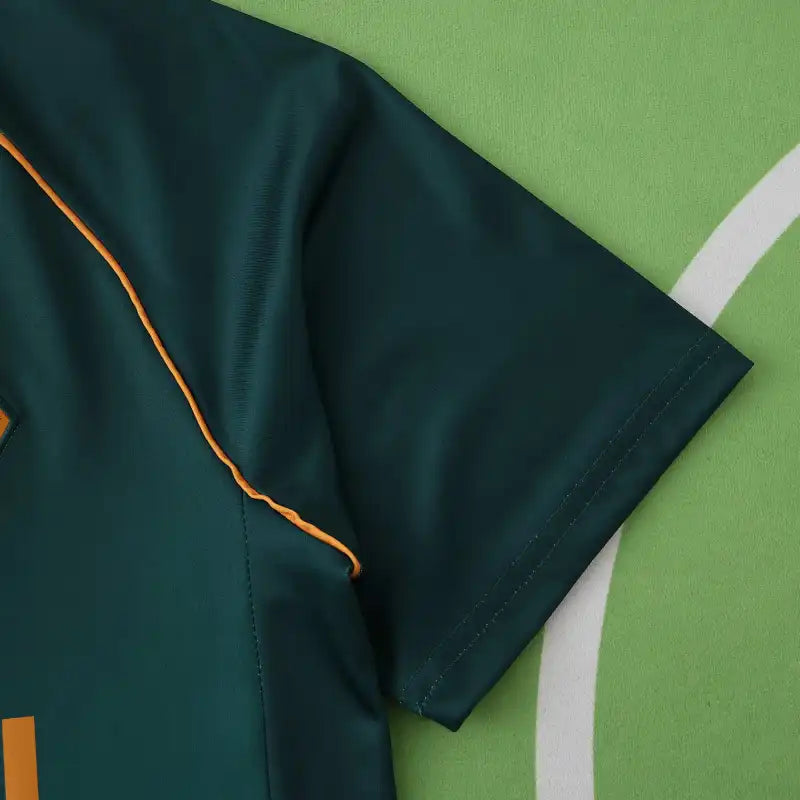 2526 season SV Werder Bremen third Fan version