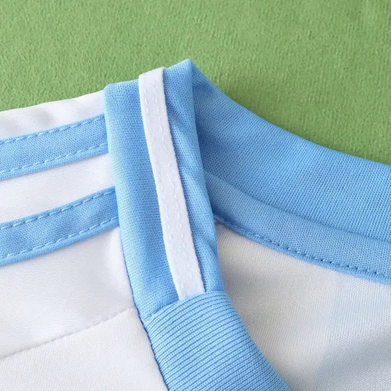 2425 season  Argentina home Fan version